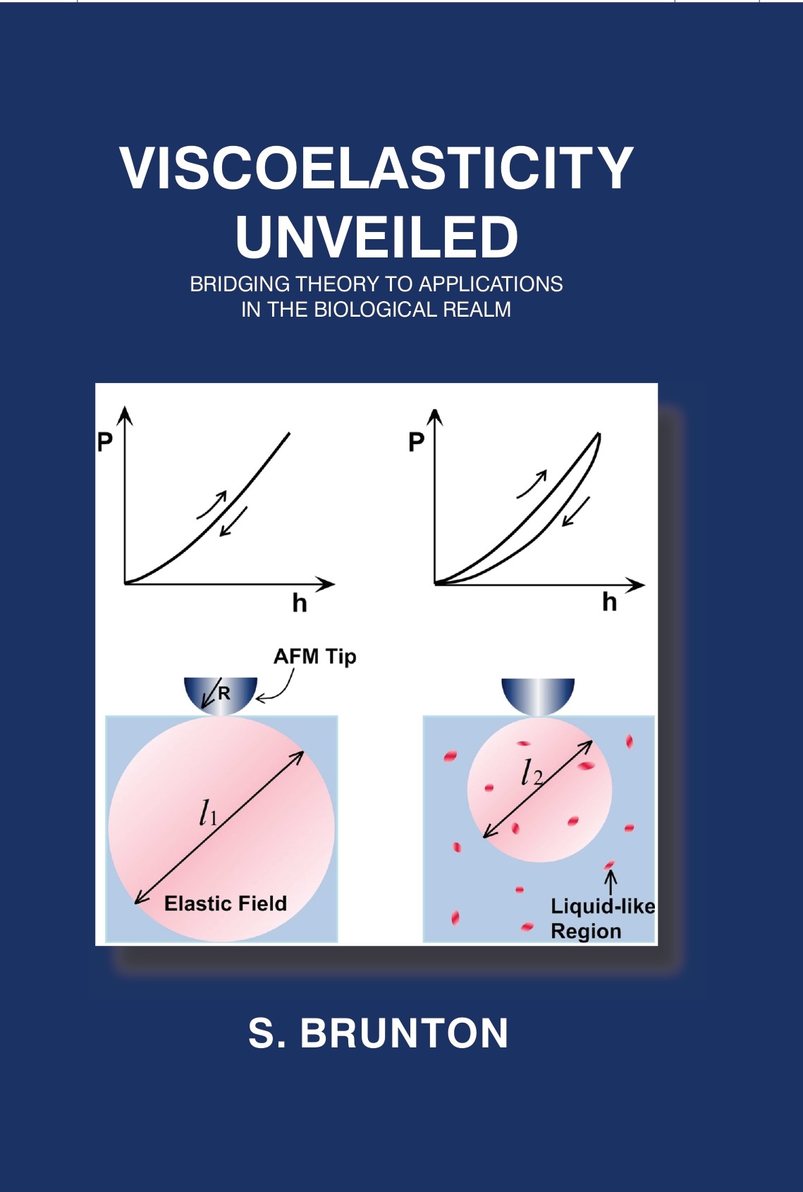 Viscoelasticity Unveiled: Bridging Theory to Applications in the Biological Realm