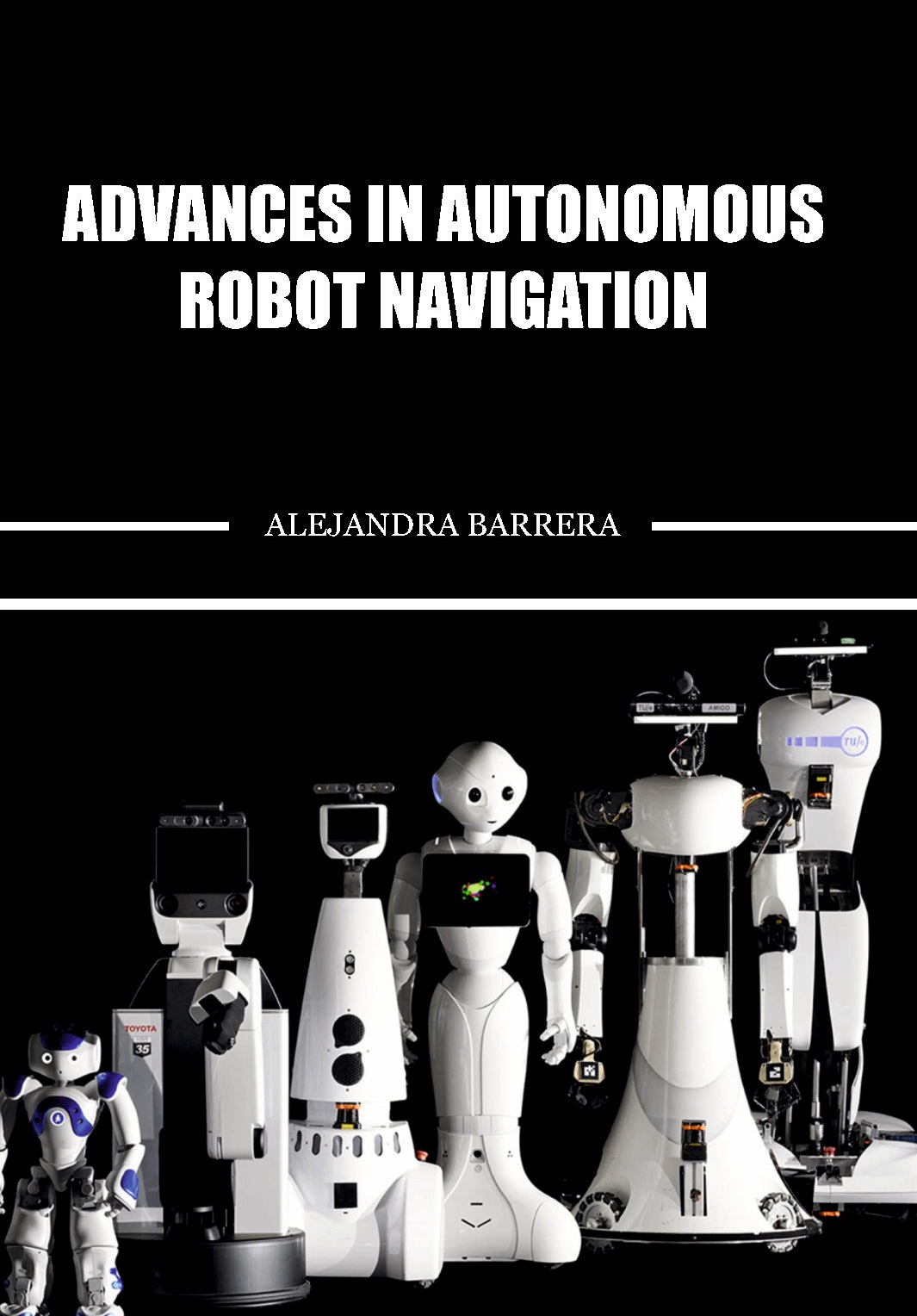Advances in Autonomous Robot Navigation