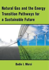 Natural Gas and the Energy Transition Pathways for a Sustainable Future